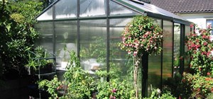 Polycarbonate Sheeting for Greenhouses - 5 Major Benefits